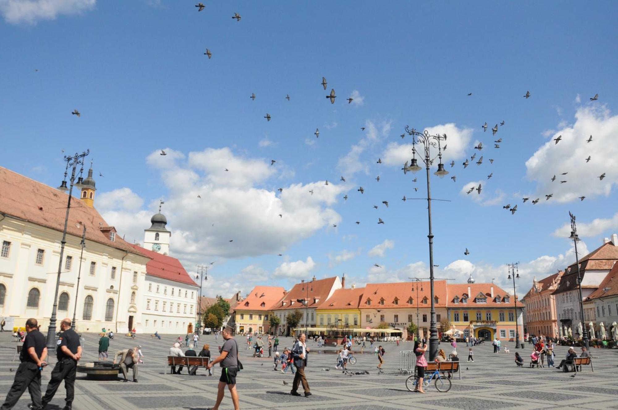 B13 Sibiu